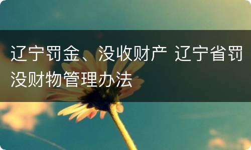 辽宁罚金、没收财产 辽宁省罚没财物管理办法
