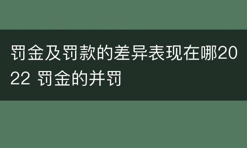 罚金及罚款的差异表现在哪2022 罚金的并罚