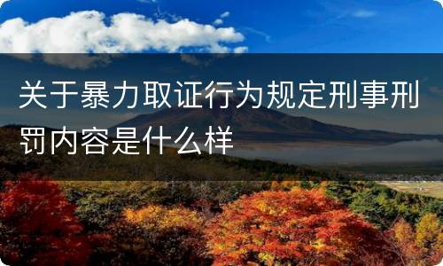 关于暴力取证行为规定刑事刑罚内容是什么样