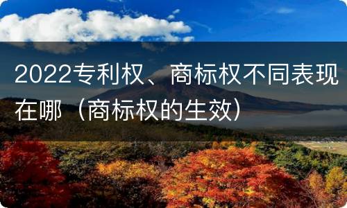 2022专利权、商标权不同表现在哪（商标权的生效）