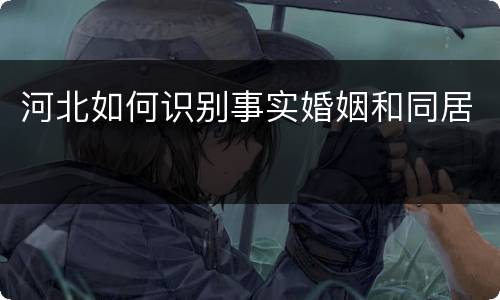 河北如何识别事实婚姻和同居