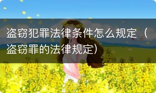 盗窃犯罪法律条件怎么规定（盗窃罪的法律规定）