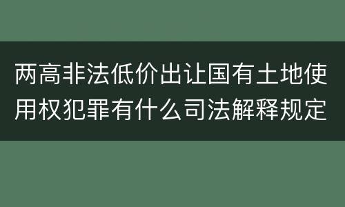 两高非法低价出让国有土地使用权犯罪有什么司法解释规定