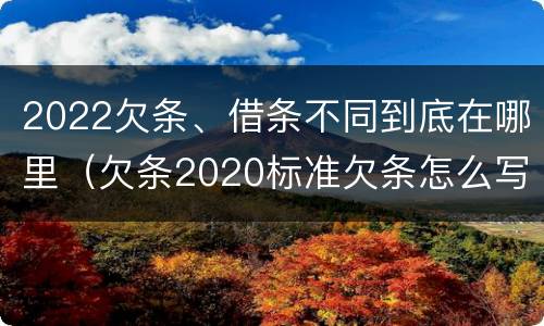 2022欠条、借条不同到底在哪里（欠条2020标准欠条怎么写）
