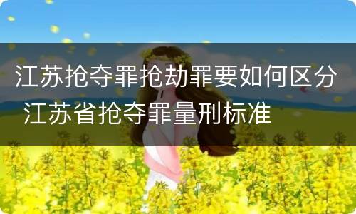江苏抢夺罪抢劫罪要如何区分 江苏省抢夺罪量刑标准