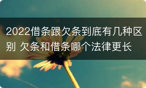 2022借条跟欠条到底有几种区别 欠条和借条哪个法律更长