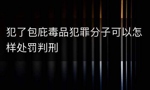 犯了包庇毒品犯罪分子可以怎样处罚判刑