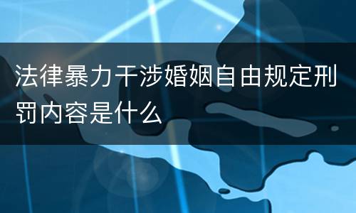 法律暴力干涉婚姻自由规定刑罚内容是什么