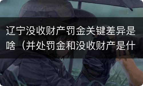辽宁没收财产罚金关键差异是啥（并处罚金和没收财产是什么意思）