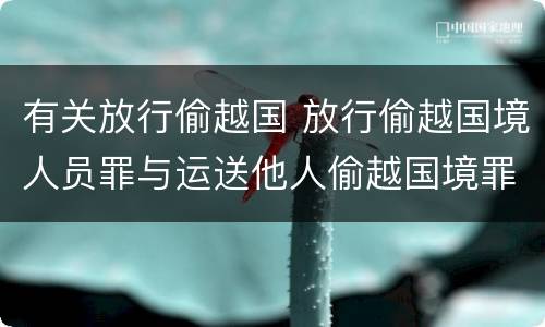 有关放行偷越国 放行偷越国境人员罪与运送他人偷越国境罪共犯