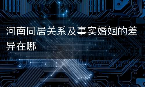 河南同居关系及事实婚姻的差异在哪