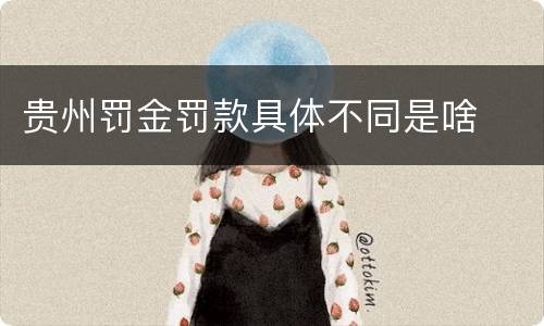贵州罚金罚款具体不同是啥