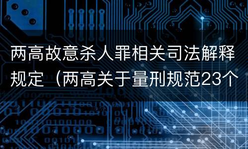 两高故意杀人罪相关司法解释规定（两高关于量刑规范23个罪名）
