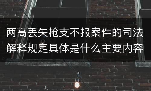 两高丢失枪支不报案件的司法解释规定具体是什么主要内容