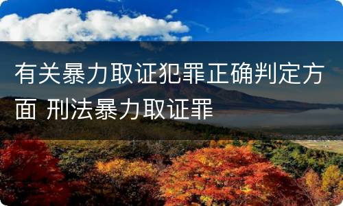 有关暴力取证犯罪正确判定方面 刑法暴力取证罪