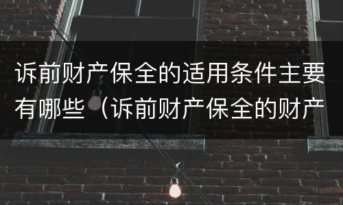 诉前财产保全的适用条件主要有哪些（诉前财产保全的财产范围）