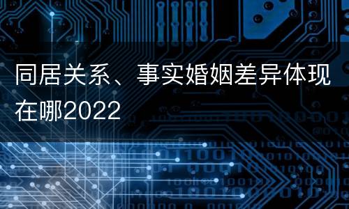 同居关系、事实婚姻差异体现在哪2022