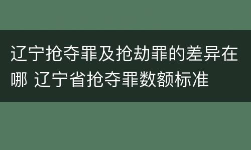 辽宁抢夺罪及抢劫罪的差异在哪 辽宁省抢夺罪数额标准