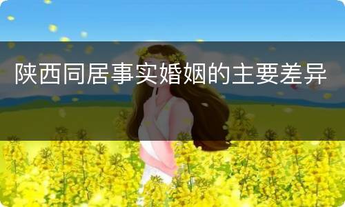 陕西同居事实婚姻的主要差异