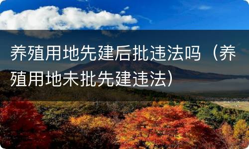 养殖用地先建后批违法吗（养殖用地未批先建违法）