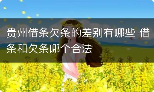 贵州借条欠条的差别有哪些 借条和欠条哪个合法