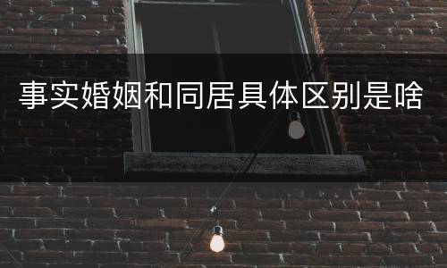 事实婚姻和同居具体区别是啥