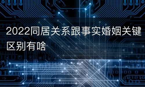 2022同居关系跟事实婚姻关键区别有啥