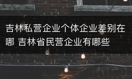 吉林私营企业个体企业差别在哪 吉林省民营企业有哪些