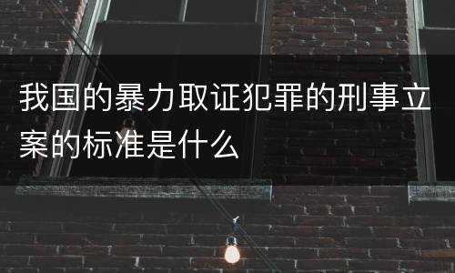 我国的暴力取证犯罪的刑事立案的标准是什么