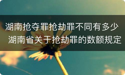 湖南抢夺罪抢劫罪不同有多少 湖南省关于抢劫罪的数额规定