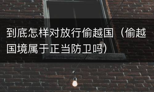 到底怎样对放行偷越国（偷越国境属于正当防卫吗）