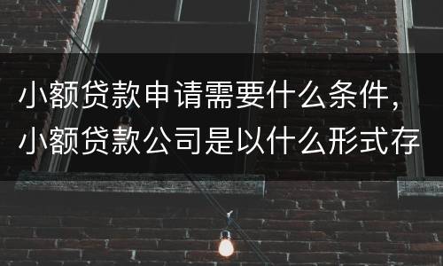 小额贷款申请需要什么条件，小额贷款公司是以什么形式存在的