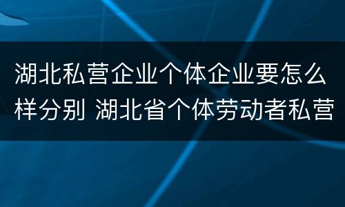 湖北私营企业个体企业要怎么样分别 湖北省个体劳动者私营企业协会