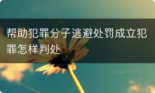 帮助犯罪分子逃避处罚成立犯罪怎样判处