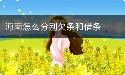 海南怎么分别欠条和借条