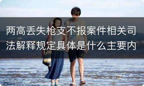 两高丢失枪支不报案件相关司法解释规定具体是什么主要内容