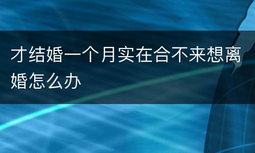 才结婚一个月实在合不来想离婚怎么办