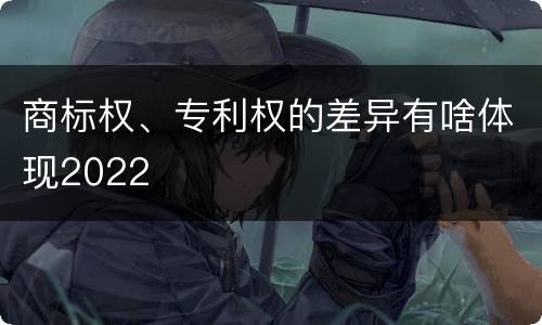 商标权、专利权的差异有啥体现2022