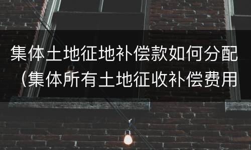 集体土地征地补偿款如何分配（集体所有土地征收补偿费用分配）