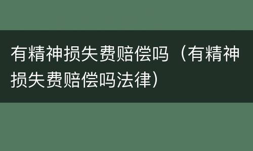 有精神损失费赔偿吗（有精神损失费赔偿吗法律）