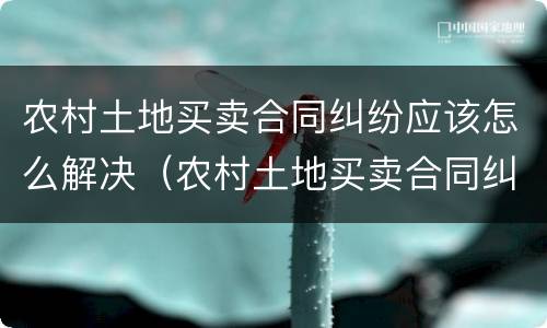 农村土地买卖合同纠纷应该怎么解决（农村土地买卖合同纠纷应该怎么解决呢）