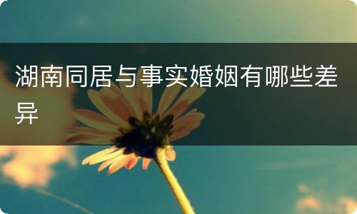 湖南同居与事实婚姻有哪些差异