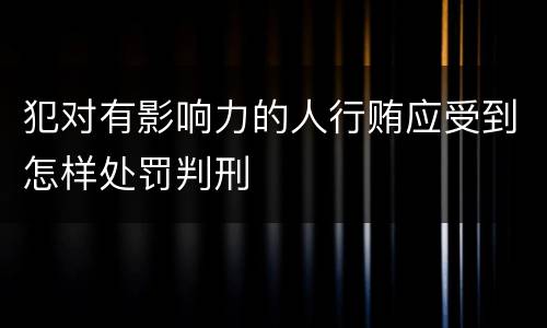 犯对有影响力的人行贿应受到怎样处罚判刑