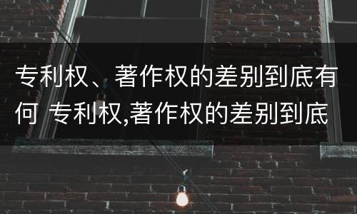 专利权、著作权的差别到底有何 专利权,著作权的差别到底有何影响