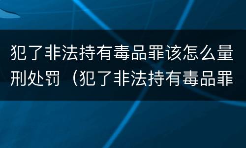 犯了非法持有毒品罪该怎么量刑处罚（犯了非法持有毒品罪该怎么量刑处罚多少钱）