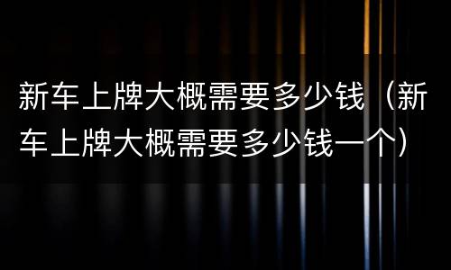 新车上牌大概需要多少钱（新车上牌大概需要多少钱一个）