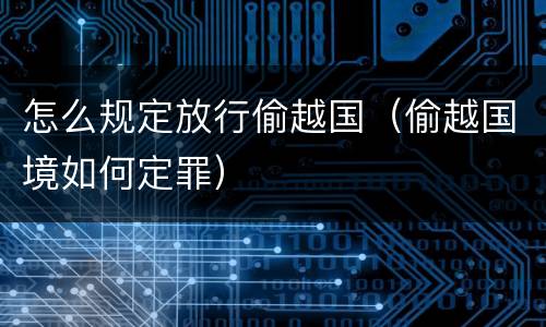 怎么规定放行偷越国（偷越国境如何定罪）