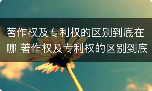 著作权及专利权的区别到底在哪 著作权及专利权的区别到底在哪里