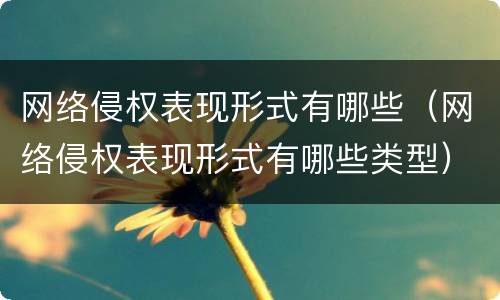 网络侵权表现形式有哪些（网络侵权表现形式有哪些类型）