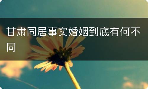 甘肃同居事实婚姻到底有何不同